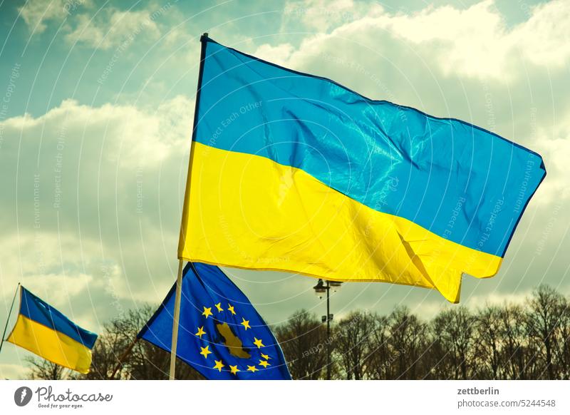 Ukrainische Fahne fahne flagge hoheitszeichen nation nationalität identität ukrain europa europafahne demo demonstration wind wehen himmel wolke frühling sonne