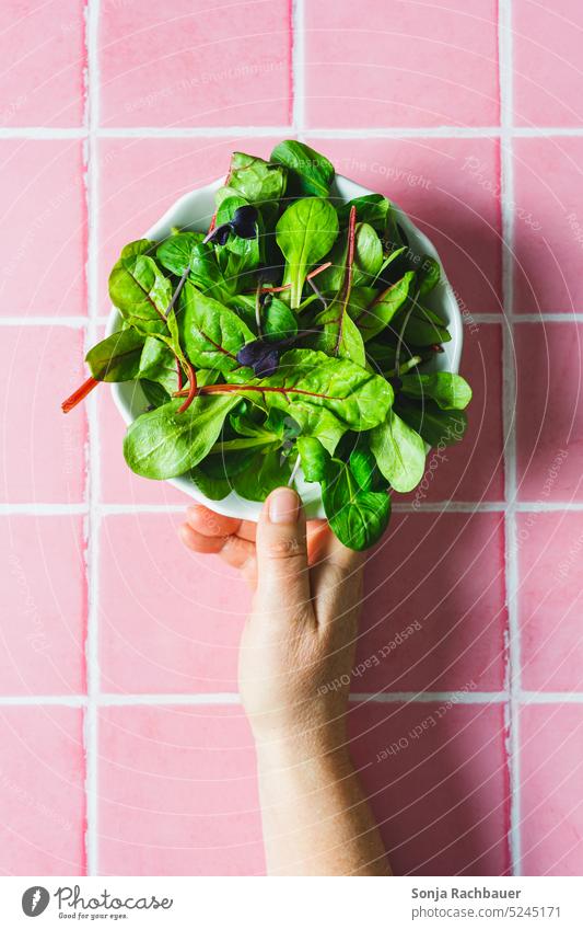 Hand hält eine Schüssel mit grünen Salat auf einem rosa Kachel Hintergrund. Ansicht von oben. halten Gemüse Vegetarische Ernährung Farbfoto Bioprodukte