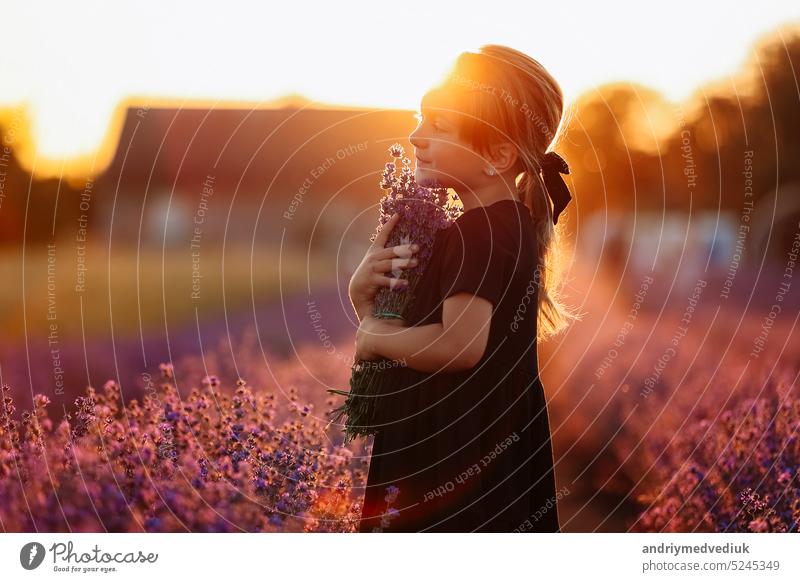 Porträt eines niedlichen Mädchens riecht an einer Lavendelblüte. Ein Kind geht in einem Feld von Lavendel bei Sonnenuntergang. Kind in schwarzem Kleid hat Spaß an der Natur in den Sommerferien Urlaub.