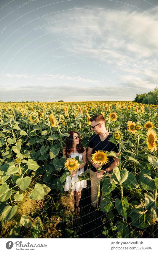 Schönes Paar hat Spaß im Sonnenblumenfeld. Ein Mann und eine Frau in der Liebe Spaziergang in einem Feld mit Sonnenblumen, ein Mann umarmt eine Frau. selektiven Fokus