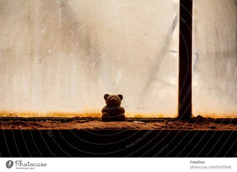 Ein kleiner Teddybär sitzt auf einem schmutzigen Fensterbrett, vor völlig verdreckten Scheiben. lost places alt Verfall Vergänglichkeit kaputt verfallen