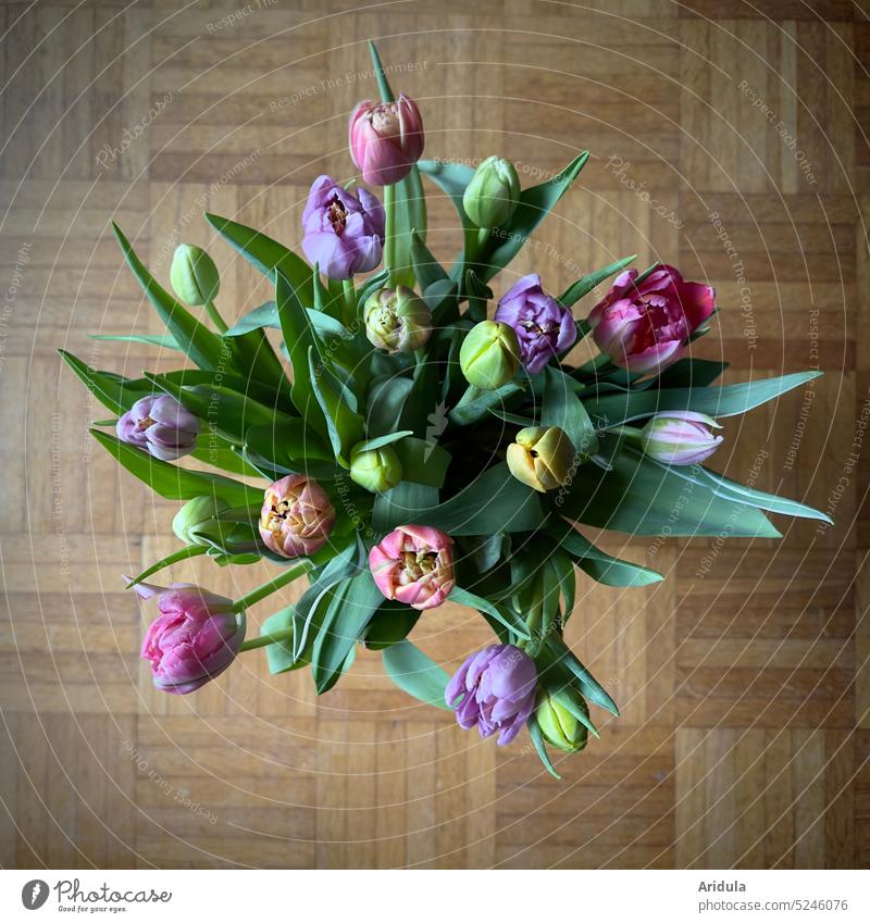 Bunter Tulpenstrauß Frühling Blume Blüte Pflanze Blumenstrauß Dekoration & Verzierung Tulpenblüte schön Vase Fußboden Eichenparkett Parkett pastell rosa lila