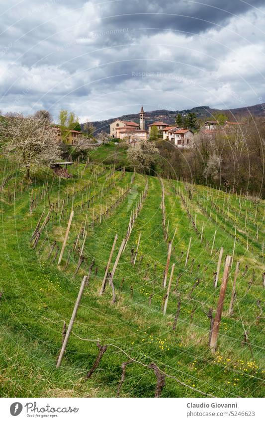 Ländliche Landschaft in Brianza im Park von Curone und Montevecchia April Europa Italien lecco Lombardei monte Rovagnate Farbe Tag grün Hügel Natur Fotografie