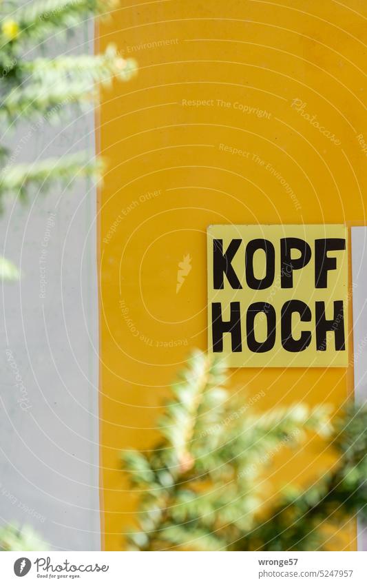 KOPF HOCH Kopf hoch Aufkleber Schilder & Markierungen Hinweis Farbfoto Menschenleer gelb gelbe Wand Hinweisschild Außenaufnahme Buchstaben