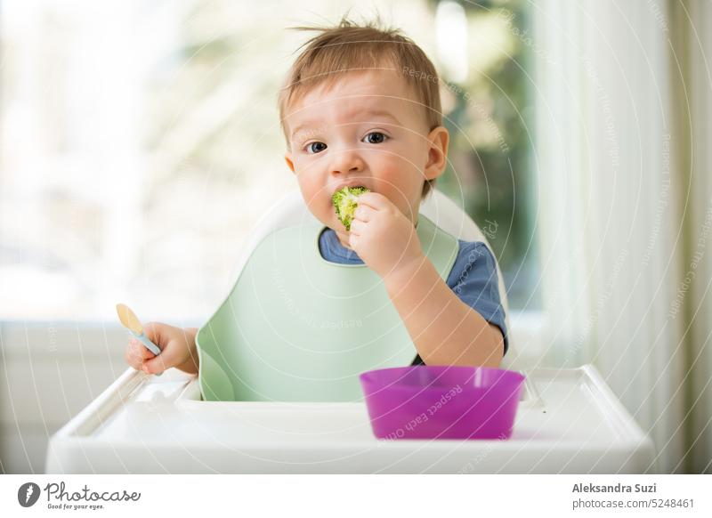 Süßes Baby isst erste feste Nahrung, Kleinkind sitzt im Hochstuhl. Kind probiert Gemüse am Tisch, entdeckt neue Lebensmittel. Gemütliche Küche Interieur. Gesundes Essen Konzept.