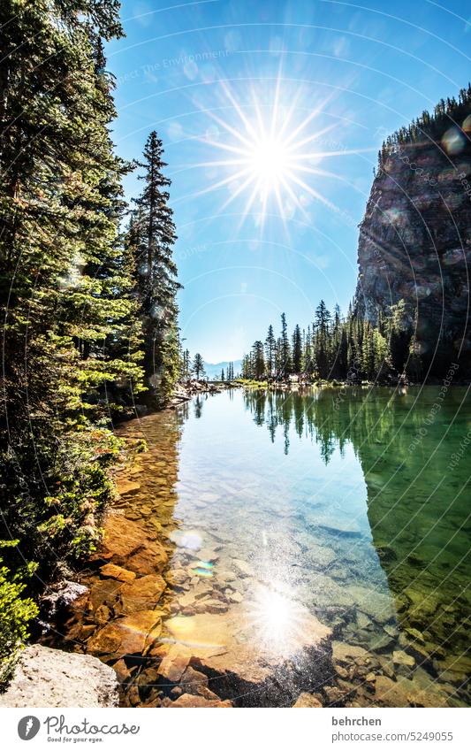 strahlkraft Wasser stille friedlich Einsam Einsamkeit Reflexion & Spiegelung Bergsee Banff National Park Himmel Ausflug weite Ferne Fernweh besonders