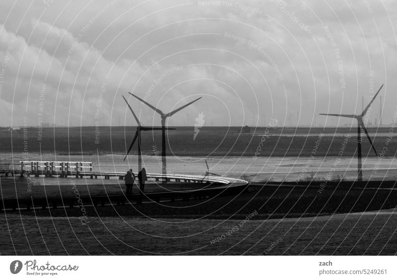 weites Land Windrad Windkraftanlage Erneuerbare Energie Energiewirtschaft Elektrizität Technik & Technologie ökologisch Klimawandel Natur Landschaft Nebel