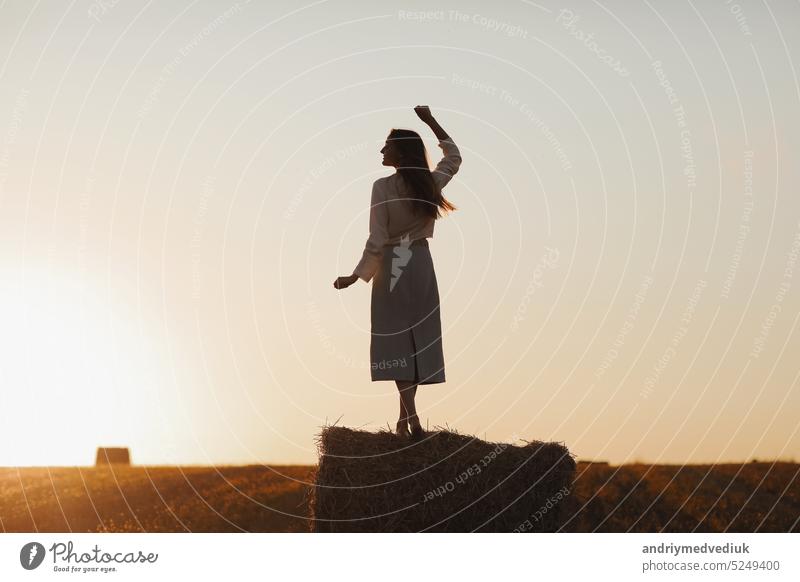 Junge Frau mit langen Haaren steht und vergnügt sich auf Strohballen in einem Feld im Sommer bei Sonnenuntergang. Weibliches Porträt in natürlicher ländlicher Szene. Umwelt Ökotourismus Konzept.