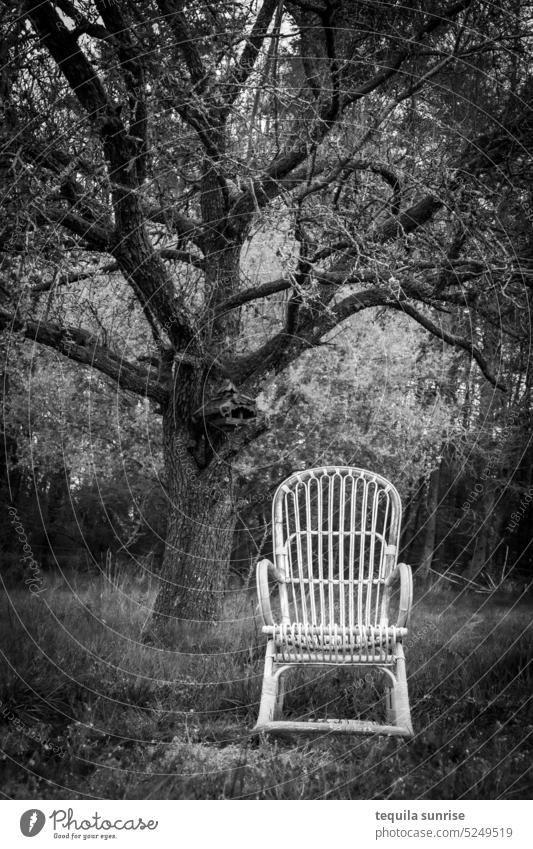 Alter Holzstuhl unter einem Baum Stuhl kahl Frühling Rasen Garten alt Vintage retro Schwarzweißfoto Großvater Opa Oma Großmutter Generationen Herbst Südstaaten