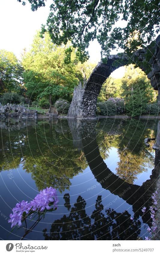 Rakotzbrücke Brücke Rakotzsee rakotz brücke Wasser See Reflexion & Spiegelung Park Teich Natur Pflanze Baum Himmel ruhig Rhododendron Spiegelung im Wasser