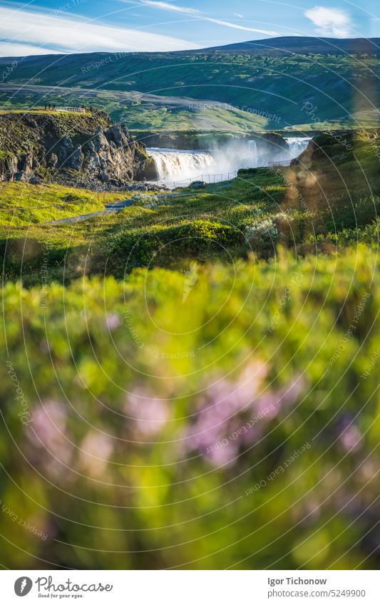 Godafoss-Wasserfall im Bezirk Bardardalur in Nord-Zentral-Island, mit unscharfem Sommerlaub im Vordergrund Ansicht bardardalur Fluss Felsen Natur natürlich