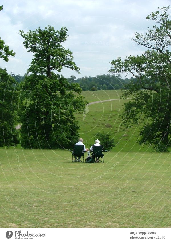 An afternoon in the park Park grün Mensch grass chairs sitzen