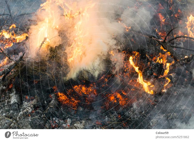 Feuer mit Rauch Asche Lagerfeuer Brandwunde schwarz verbrannt Holz heiß Flamme Holzkohle rot Hintergrund weiß brennend im Freien grau Kohle Nahaufnahme Blatt