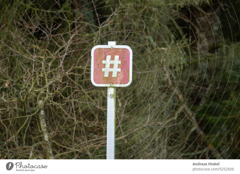 Hashtag Natur Verkehrsschild raute hashtag reallife echt natur social media symbol wirklichkeit wald geäst wanderung wegweiser leben lebenswert entschleunigung