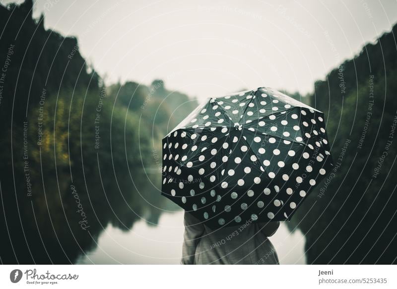[HH unnamed road] Melancholie im Herbst Regenschirm gepunktet Schirm Mensch Frau Rückansicht stilvoll edel nass Wetter Stil Dame Mantel allein schön Regenwetter