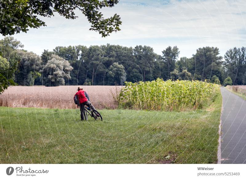 Ein Mann steigt von seinem Fahrrad. Er macht Pause in der Natur. draußen Fahrradtour Hut Radfahrer Feld Wiese Weg Wald Ausflug Picknick pflegen ausruhen wandern