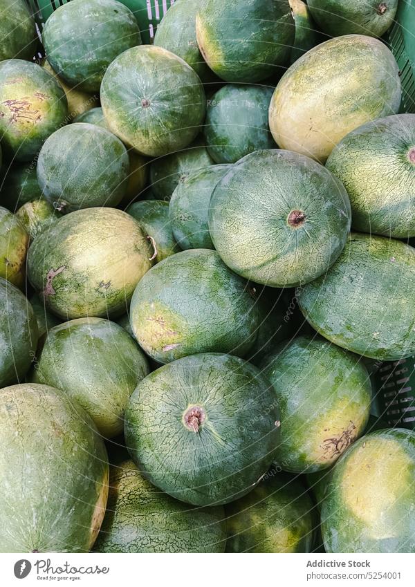 Ein Stapel Wassermelonen auf dem Bauernmarkt Haufen reif frisch Saison lokal Markt Verkaufswagen Lebensmittel Vitamin rustikal ganz lecker Ernte Australien