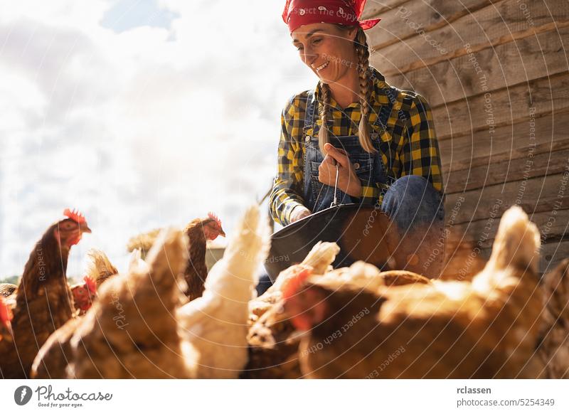 Stolze Hühnerzüchterin mit Eimer beim Füttern der Hühner auf dem Bauernhof außerhalb Inszenierung bewachen Mais Futter Frau Landwirtschaft Arbeit Person