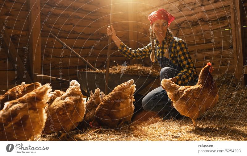 Stolze Hühnerzüchterin, die ihre Hühner in einem Hühnerstall bewacht Inszenierung bewachen Mais Futter Frau Landwirtschaft Arbeit Person Deutschland Landfrau