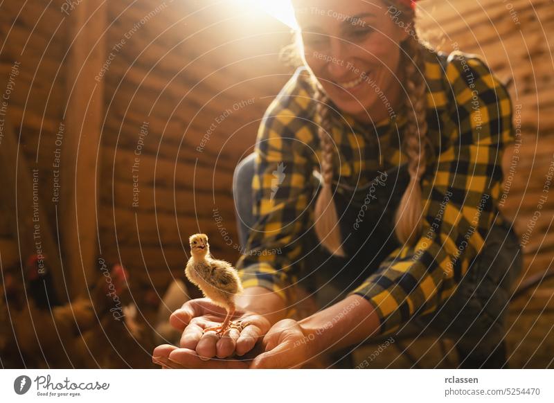 Stolze Hühnerzüchterin zeigt ein neugeborenes Huhn in ihren Händen in einem Hühnerstall Inszenierung Hähnchen Landwirt Beteiligung jung Kind Baby Frau