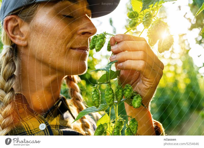 Bäuerin prüft die Qualität der Hopfenernte durch Riechen und Berühren der Dolden schwofen Ernte Frau Person Landwirt Besichtigung Qualitätskontrolle Überprüfung