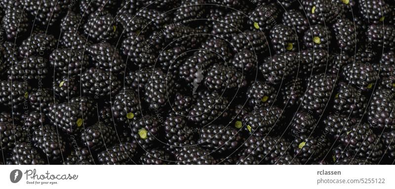 frische Brombeeren auf einem Markt Hintergrund Antioxidans Frucht Tapete Lebensmittel Sommer schwarz Farbe Bauernhof Ackerbau Gesundheit Diät natürlich