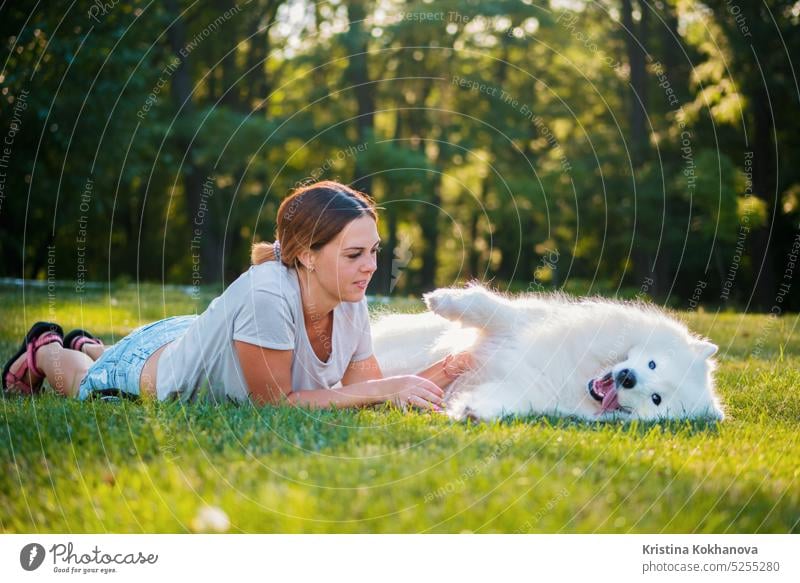 Eine erwachsene Frau mit roten Haaren spielt und streichelt ihren Hund der Rasse Samojede. Weißes flauschiges Haustier in einem Park mit Frauchen auf einem grünen Rasen haben Spaß.