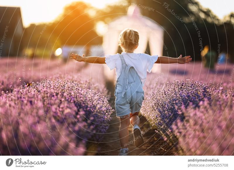 Rückenansicht des glücklichen Kindes Mädchen läuft Anhebung ihrer Hände wie fliegende Flugzeug in Lavendelfeld auf Sommer warmen Tag. Hyperaktiv kleines Kind in Sonnenbrille träumt vom Fliegen in der Natur. Kinderphantasien.