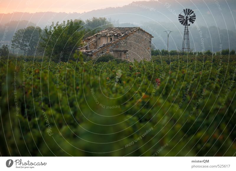 French Style XXI Umwelt Natur Landschaft ästhetisch Zufriedenheit verträumt Frankreich Bauernhof abgelegen Wein Weinbau Windrad gehen ursprünglich konventionell