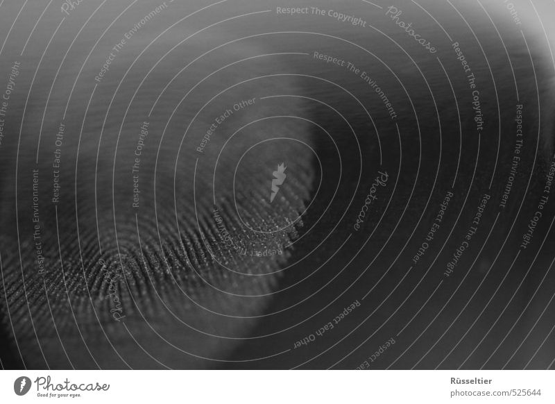 Erwischt! Zeichen berühren grau schwarz unschuldig überführt Spuren Fingerabdruck Schwarzweißfoto Detailaufnahme Makroaufnahme Menschenleer Textfreiraum rechts