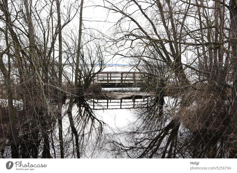 eine Holzbrücke und kahle Bäume spiegeln sich in einem kleinen Fluss, der bei Hochwasser die gesamte Umgebung überschwemmt hat Wasser Brücke Frühjahr