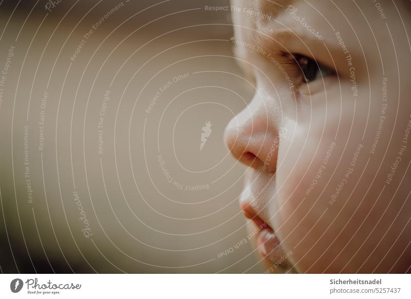 Seitenprofil Baby seitenprofil Seitenansicht Kind Mensch Gesicht Kopf Blick 0-12 Monate grimmig skeptisch Porträt