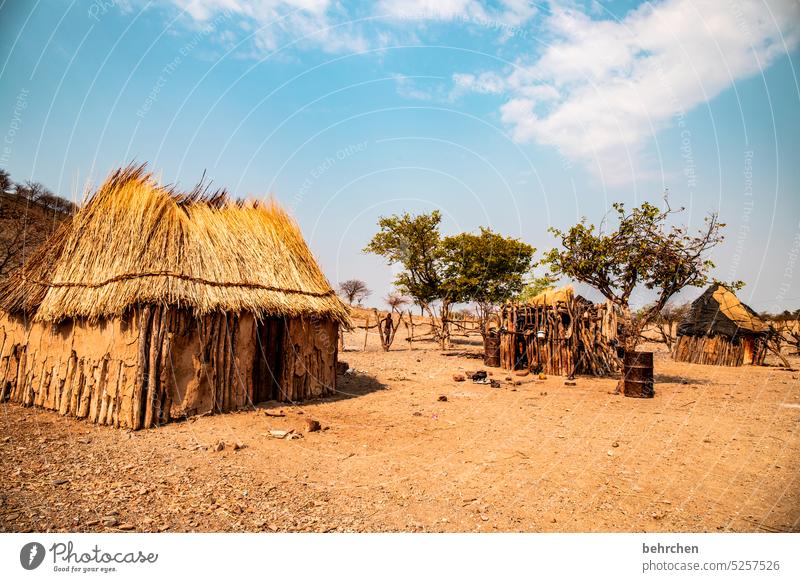 . Namibia Afrika Hütte Haus Armut einfaches leben Ferne zuhause wohnen Leben authentisch Himba kaokoveld Stroh Lehm bedrückend