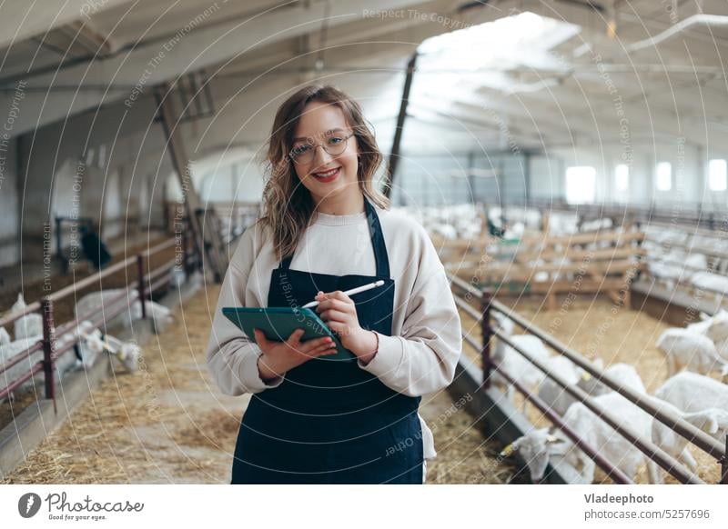 Tierarzt macht sich Notizen in einer Karte über Tiere Frau Kaukasier Veterinär Landwirtschaft Ranch Rind Viehbestand schreiben jung Medizin Arzt Gesundheit