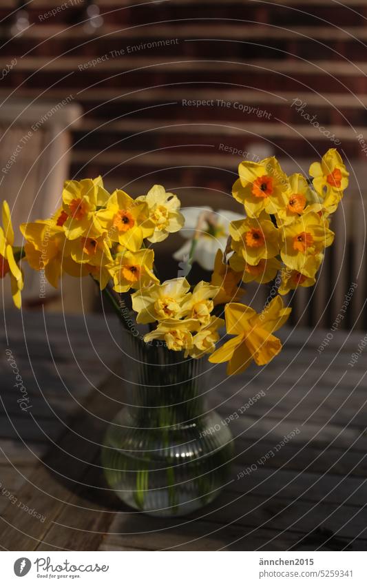 Ein Strauss mit verschiedenen gelben Narzissen steht auf einem Gartentisch aus Holz Frühling strauss Blume Gelbe Narzisse Farbfoto Blumenstrauß Frühblüher