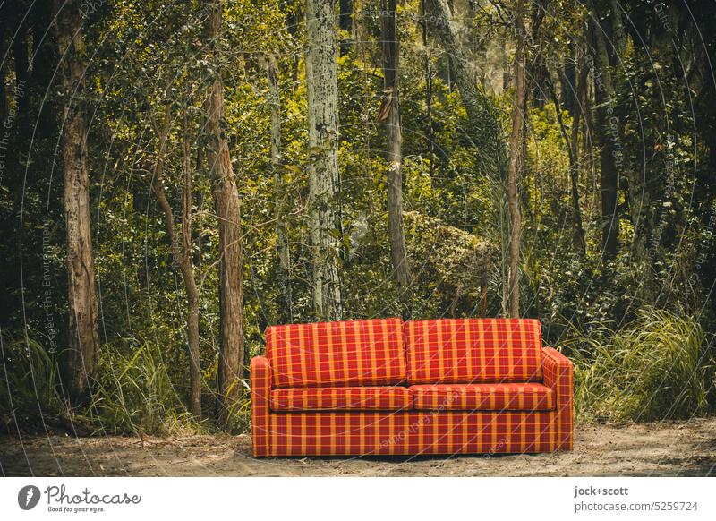 wilder Sperrmüll abgestellt vor der Natur Sofa Möbel Müllentsorgung Sitzgelegenheit tropisch Sträucher Queensland Australien entsorgen Umweltverschmutzung
