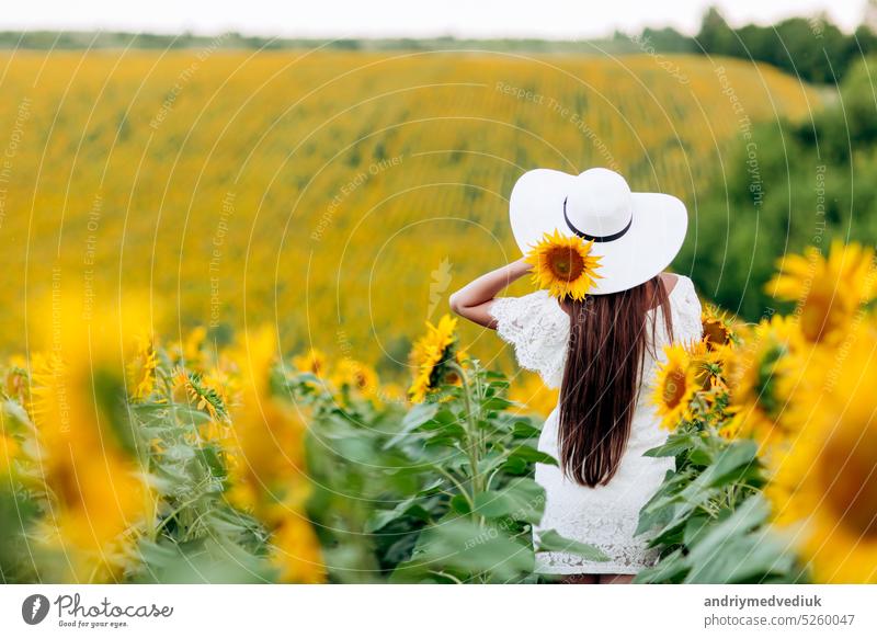 Frau im Sonnenblumenfeld. Ein glückliches, schönes junges Mädchen mit einem weißen Hut steht in einem großen Sonnenblumenfeld. Sommerzeit. Rückansicht. Selektiver Fokus.