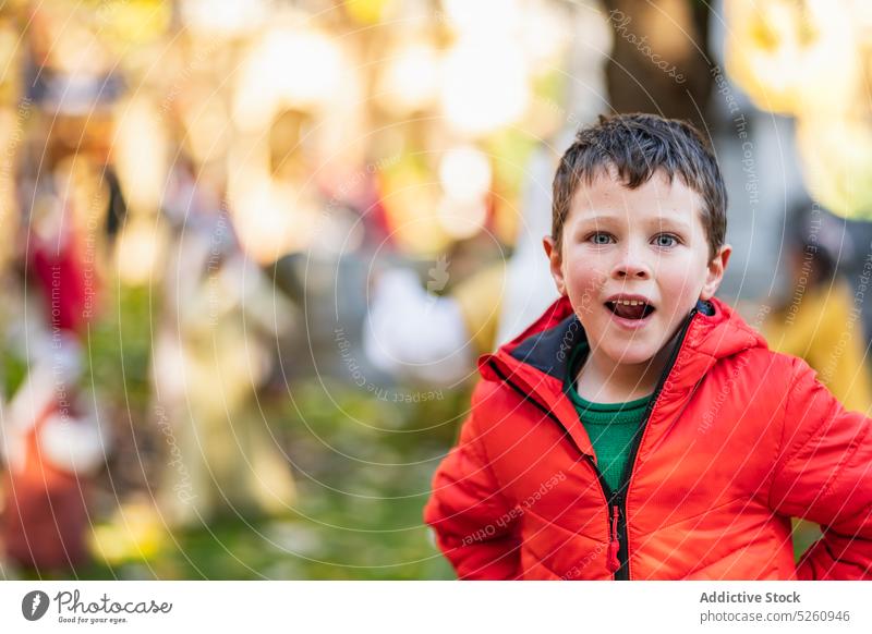 Staunender Junge im Herbstpark Park erstaunt Straße Großstadt Oberbekleidung wow Wochenende Porträt donostia san sebastian Spanien tagsüber Saison Überraschung