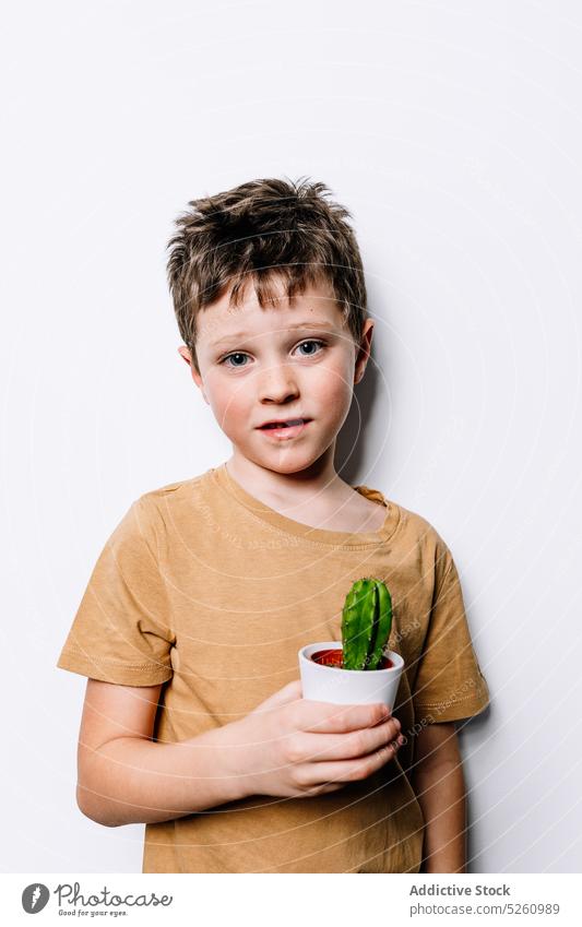 Niedlicher Junge mit Kaktus im Topf zeigen niedlich frisch klein Wachstum Stil organisch manifestieren Kind bezaubernd Flora Kindheit dunkles Haar Botanik