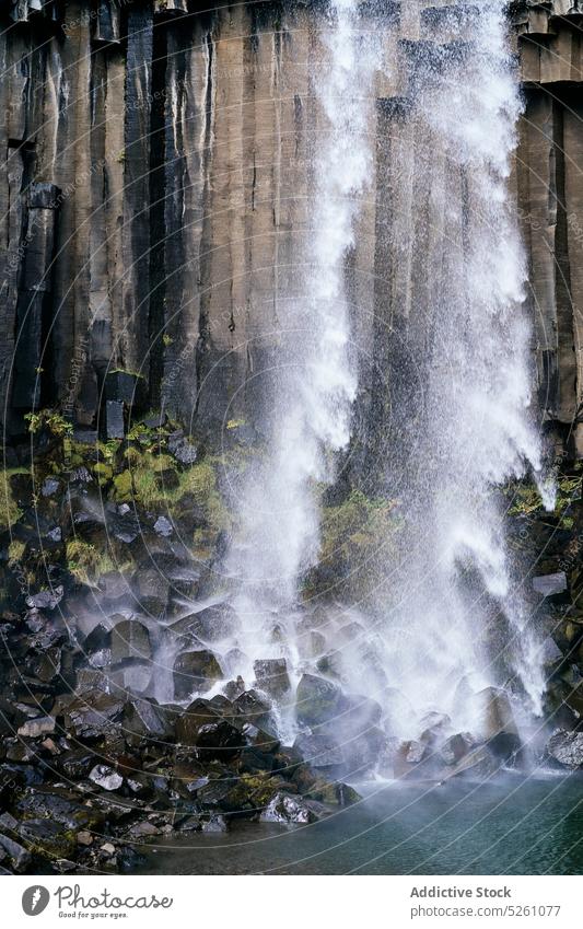 Mächtiger Wasserfall auf felsiger Klippe platschen Felsen Landschaft Natur malerisch fallen See Island Europa Svartifoss Ausflugsziel Kraft Umwelt Fluss rein