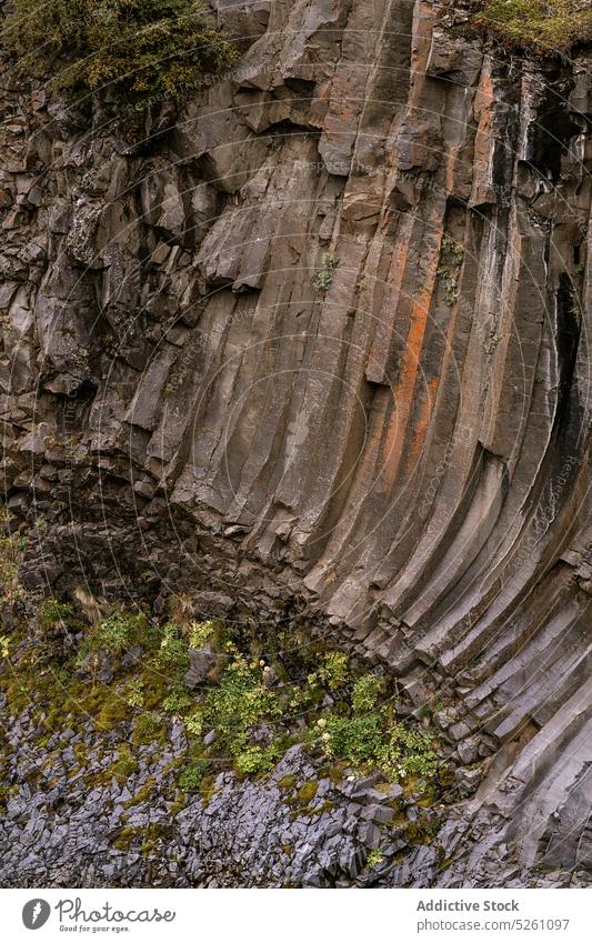 Geologische Formation auf Felsen mit Moos felsig Basalt Geologie Klippe Natur wild Umwelt Landschaft Island Europa sechskantig Stein malerisch rau natürlich
