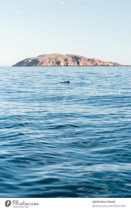 Malerischer Blick auf das wogende Meer, das die Klippen umspült MEER felsig Formation Meereslandschaft Natur winken Delphine malerisch Landschaft Rippeln Felsen