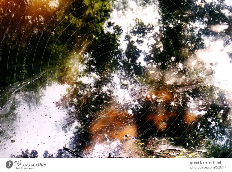 Pollution Reflexion & Spiegelung Baum Pfütze Teich Wasser Farbe Erdöl