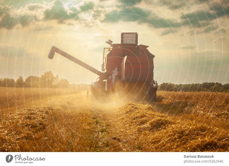 Eine große landwirtschaftliche Erntemaschine mäht auf einem Feld mit Getreide Landwirtschaft Korn Maschine Ernten ländlich gold Industrie Ackerbau Landschaft