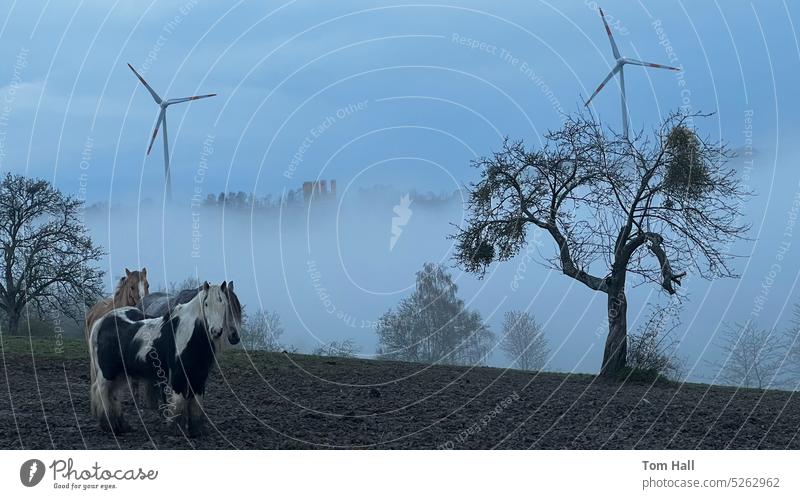 Pferde auf einem Berggipfel Wiese Natur Gras Himmel wolkig Windkraftanlage Erneuerbare Energie Ökostrom ökologisch nachhaltig Umweltschutz umweltfreundlich