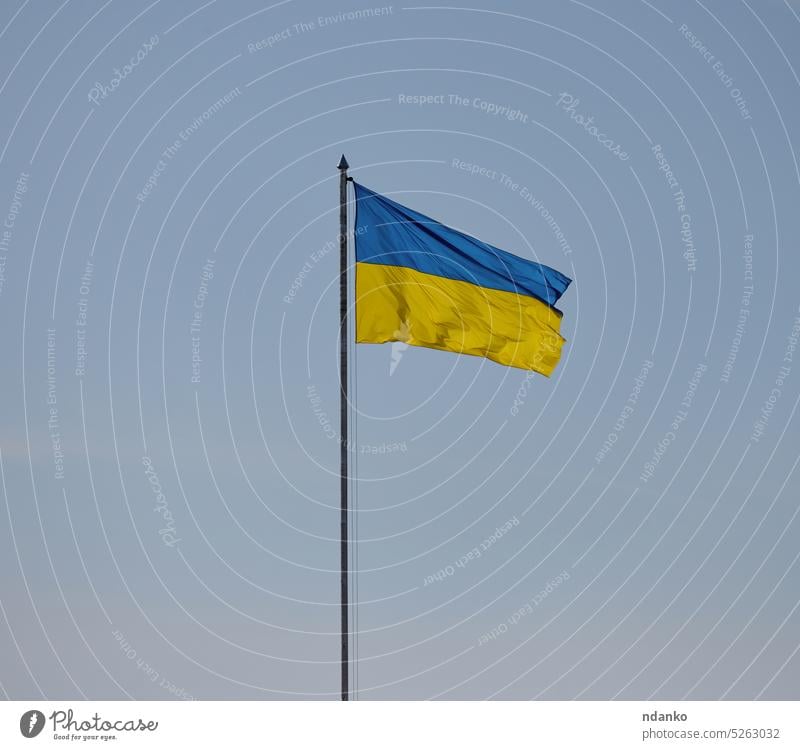 Die gelb-blaue Flagge der Ukraine weht vor dem blauen Himmel Fahne Fahnenmast Ukrainer winken Flagstaff Freiheit Selbstständigkeit Nation national niemand