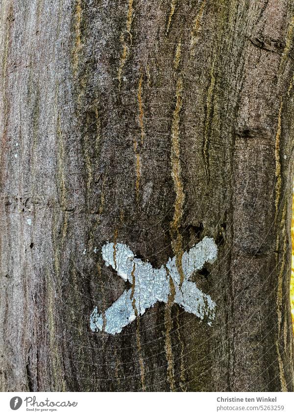 Angekreuzt /  Markierung an einem Baumstamm angekreuzt Hinweis Zeichen Orientierung Wanderweg Detailaufnahme Nahaufnahme Natur Wanderwegmarkierung