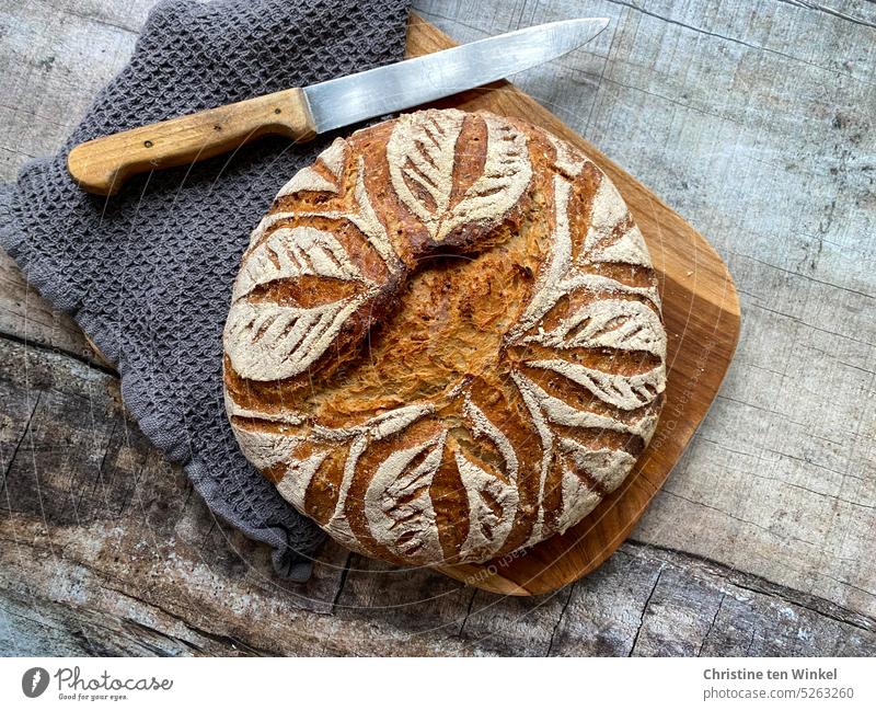 Dauerbrenner | Brot geht immer Kohlenhydrate Lebensmittel Kruste knusprig Tradition rustikal frisch Brotliebe Brotmuster Brotkunst aromatisch köstlich