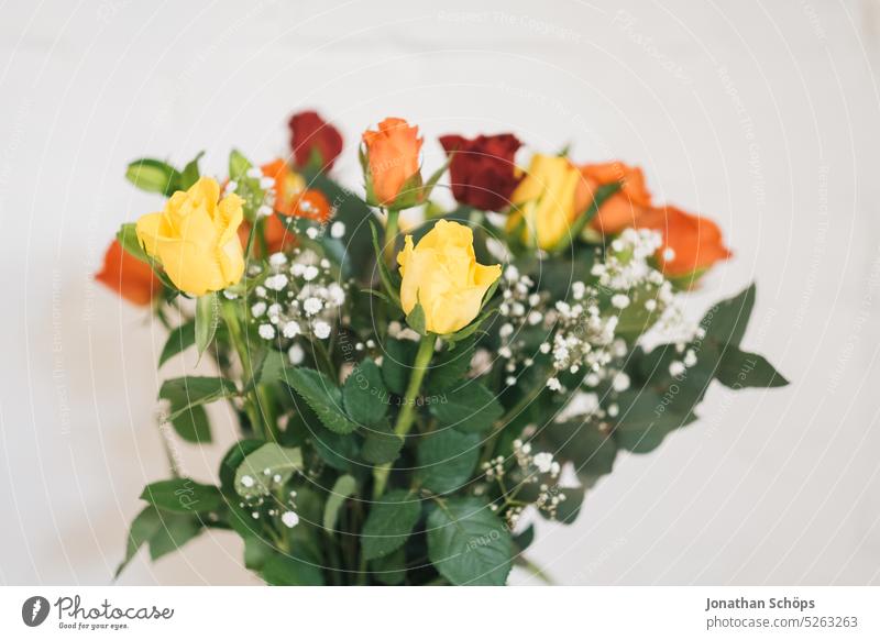 Blumenstrauß aus bunten Rosen Innenaufnahme Farbfoto Muttertag Valentinstag Frühling Geschenk Begierde schön Romantik Treue Zusammensein Liebe Verliebtheit