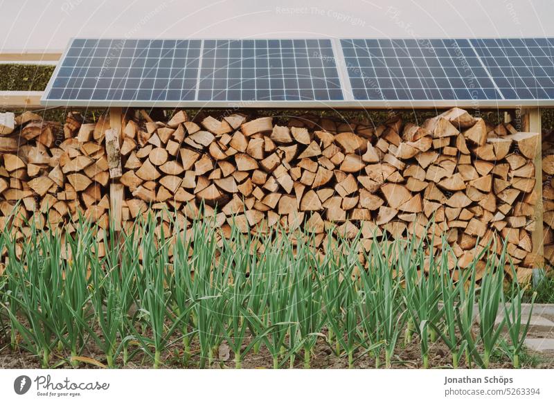 Eigenanbau Gemüse und Holzvorrat mit Brennholz unter Solarplatten im Garten Solarpanele Photovoltaik Nachhaltigkeit nachhaltiger Lebensstil